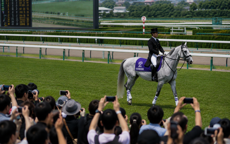 多くの観客から撮影される誘導馬