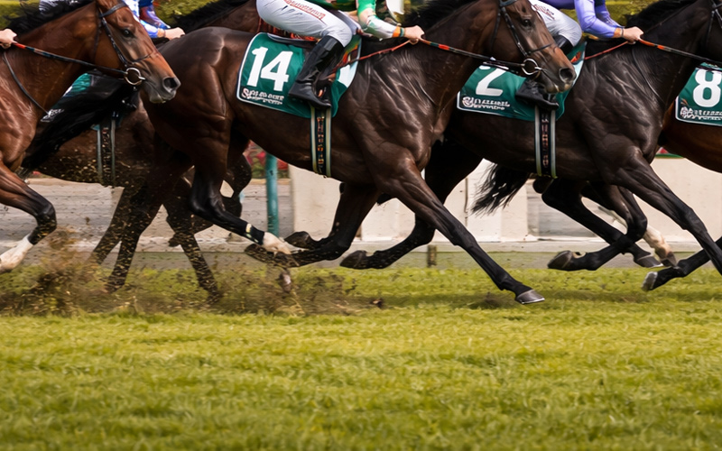 競馬場を走る競走馬たち